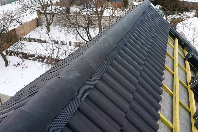 Edge and Ridge Repair